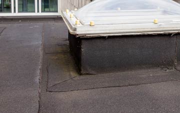 disadvantages of Peas Hill flat roofs