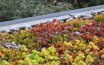 the cost of Peas Hill green roof installation