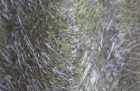 Peas Hill fibreglass roof work